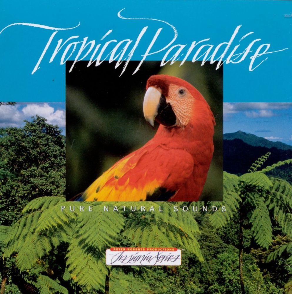 Tropical Paradise