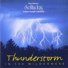 Thunderstorm In The Wilderness