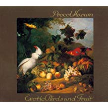 Exotic Birds And Fruit