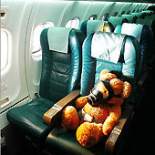 Admiring Venus