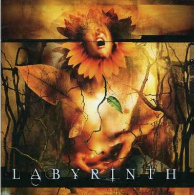 Labyrinth