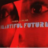 Beautiful Future
