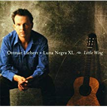 Little Wing