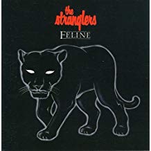 Feline