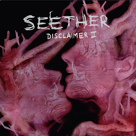 Disclaimer Ii