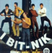 I Bit-Nik
