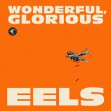 Wonderful Glorious