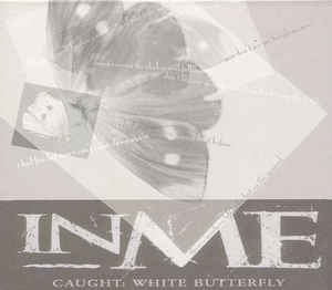 Caught White Butterfly