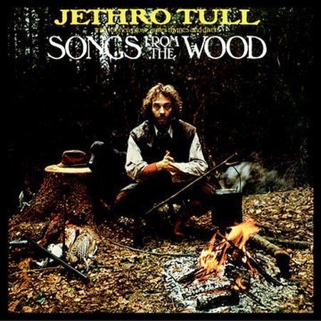 Songs From The Wood
