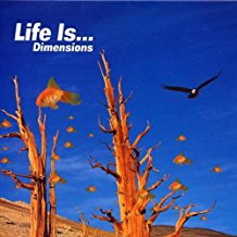 Life Is Dimensions