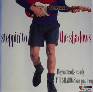 Steppin To The Shadows