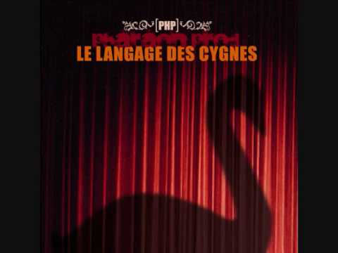 Le Langage Des Cygnes