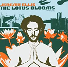 The Lotus Blooms