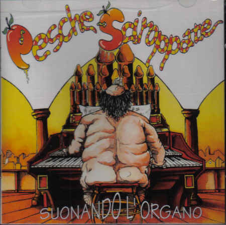 Suonando L'organo