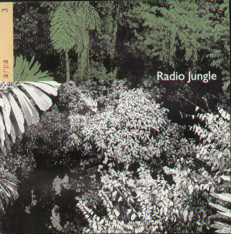 Radio Jungle