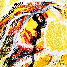 California Breed Cd+Dvd