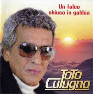 Un Falco Chiuso In Gabbia
