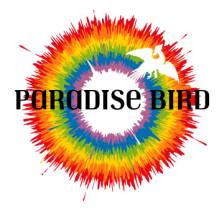 Paradise Bird