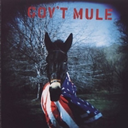 Gov't Mule 1995