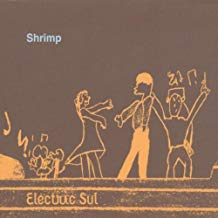 Electric Sul