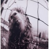 Pearl Jam Expanded Edition