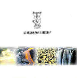 Urbanatribù
