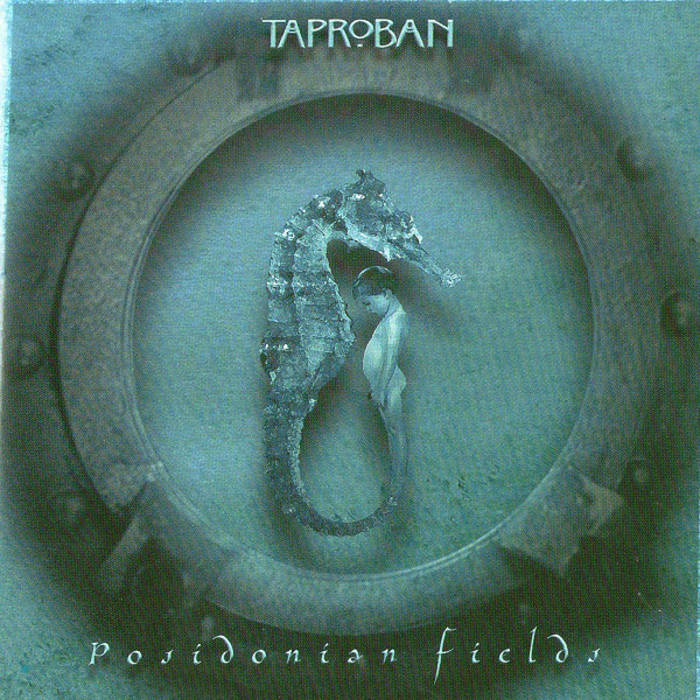 Posidonian Fields