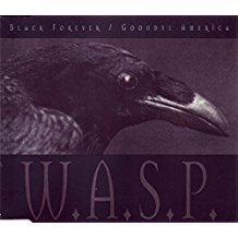 Black Forever / Goodbye America