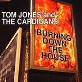 Burning Down The House