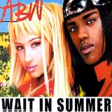 Wait In Summer