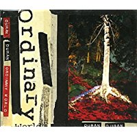 Ordinary World