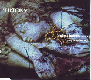 Broken Homes