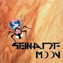 Steinhardt Moon