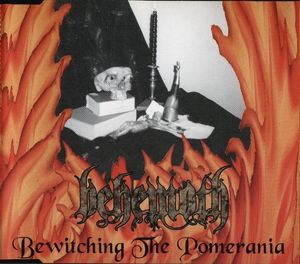 Bewitching The Pomerania