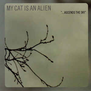 Ascends The Sky