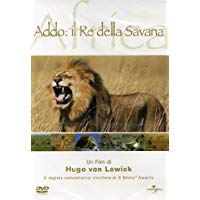 Addo Il Re Della Savana