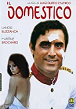 Il Domestico