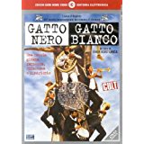 Gatto Nero Gatto Bianco