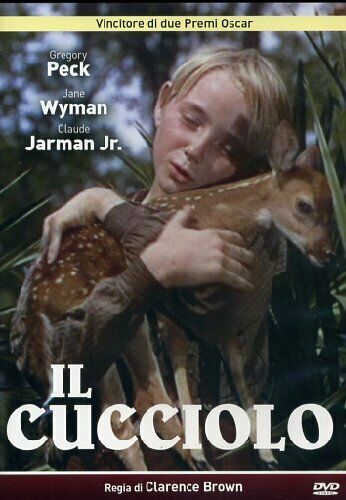 Il Cucciolo