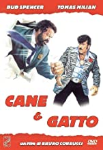 Cane E Gatto