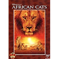 African Cats