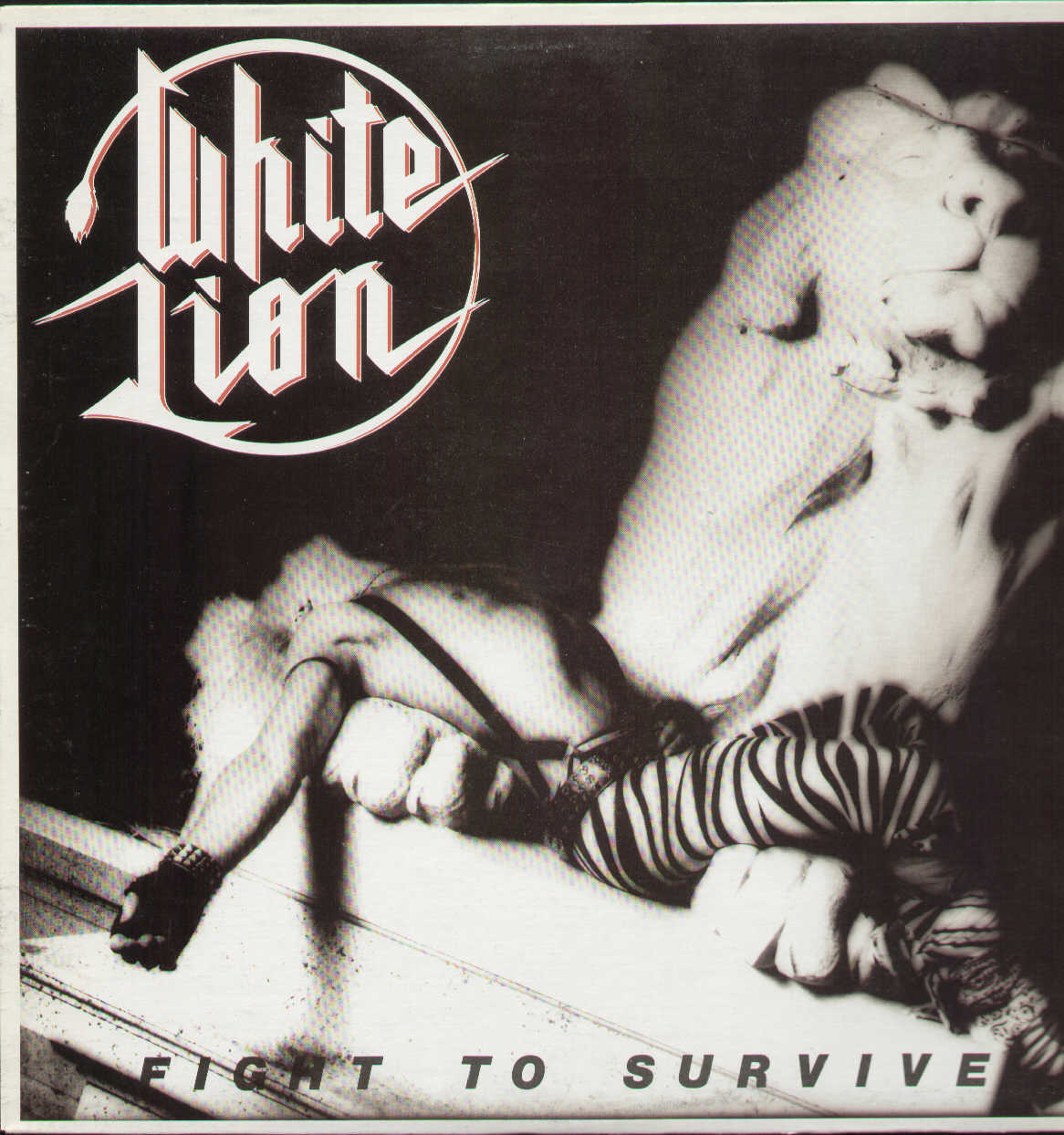 Fight To Survive