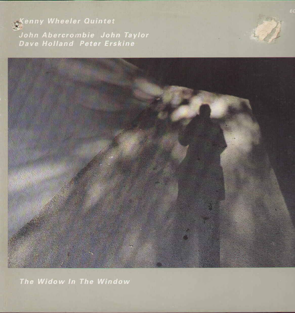The Widow In The Window