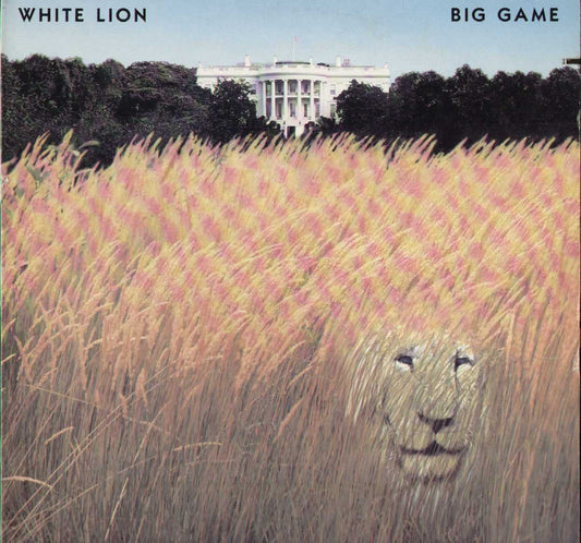 Big Game