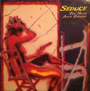 Too Much Ain't Enough