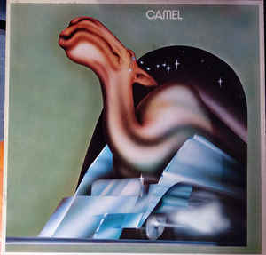 Camel 2506341