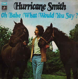Oh Babe What Would You Say