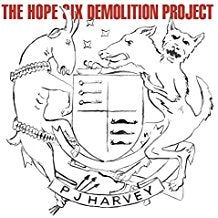 The Hope Six Demolition Project