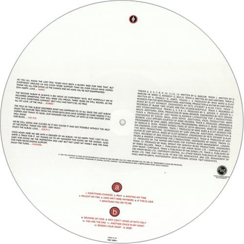 Everything Changes Picture Disc