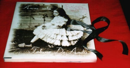 Anime Salve - Box